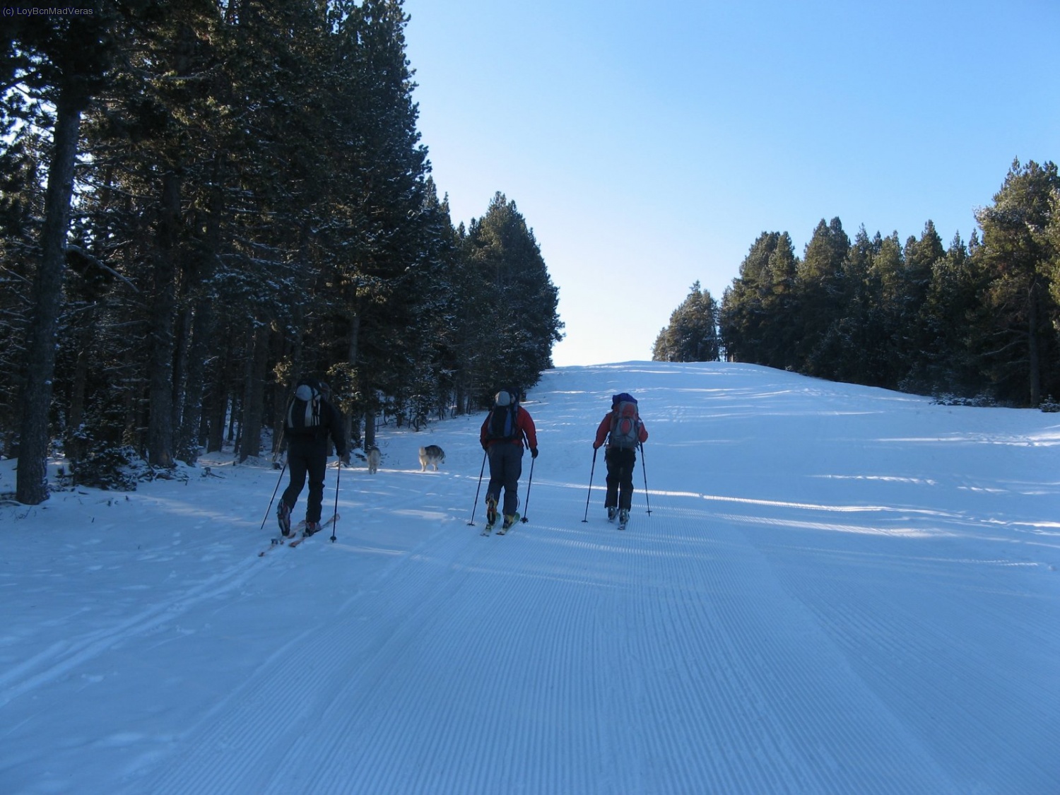 Empezamos subiendo por el cortafuego de la estaci&oacute;n de Tuixent