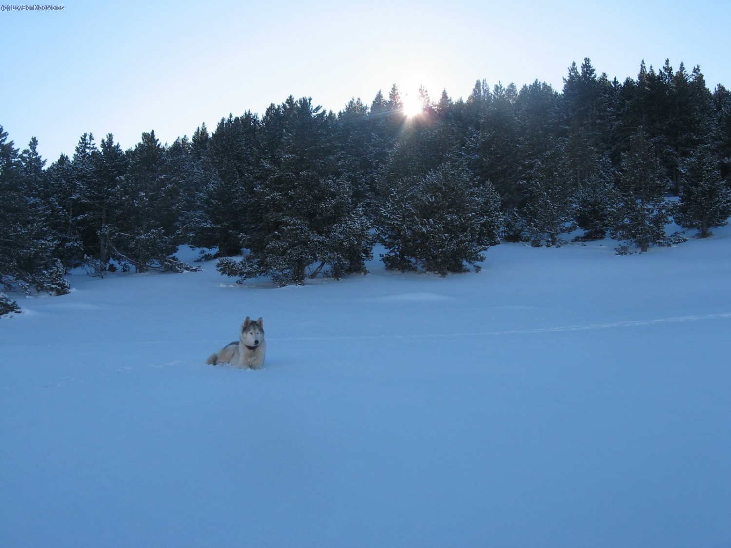 Lakie espachurr&aacute; como una reina