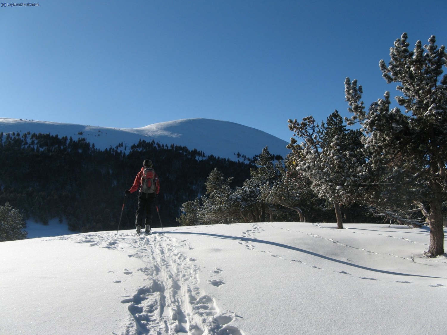 Loybcn con la Tossa Pelada al fondo