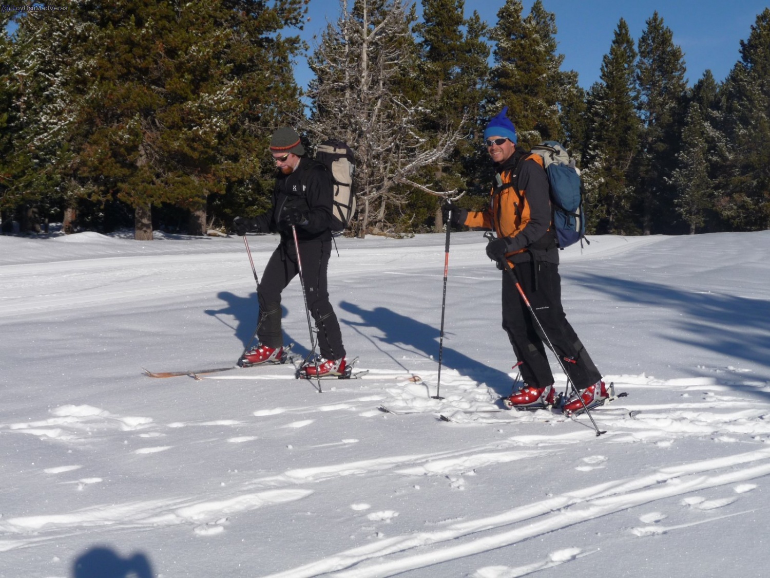 Africatiwn y Madveras