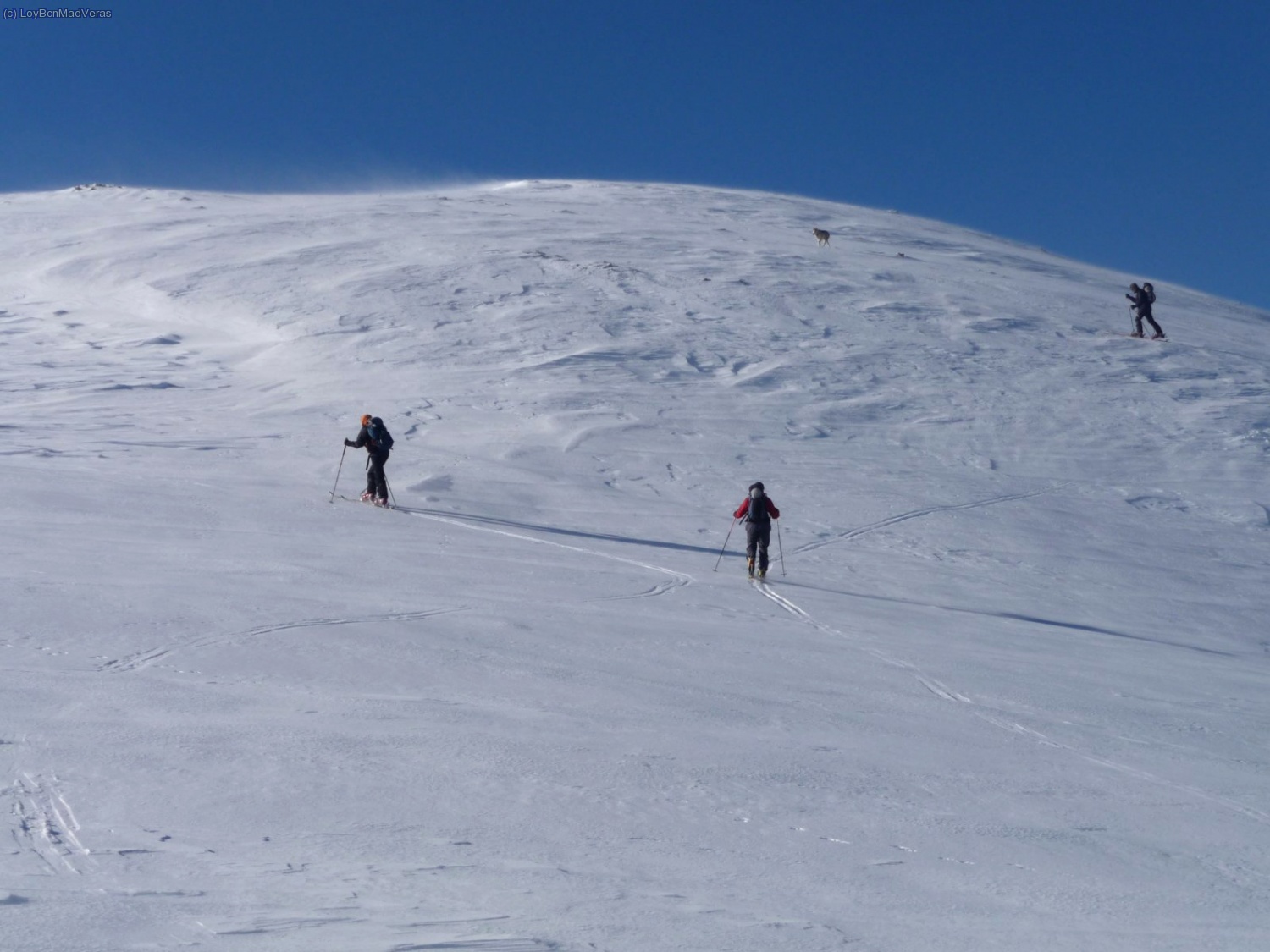 Cada uno sube por donde puede jajaja