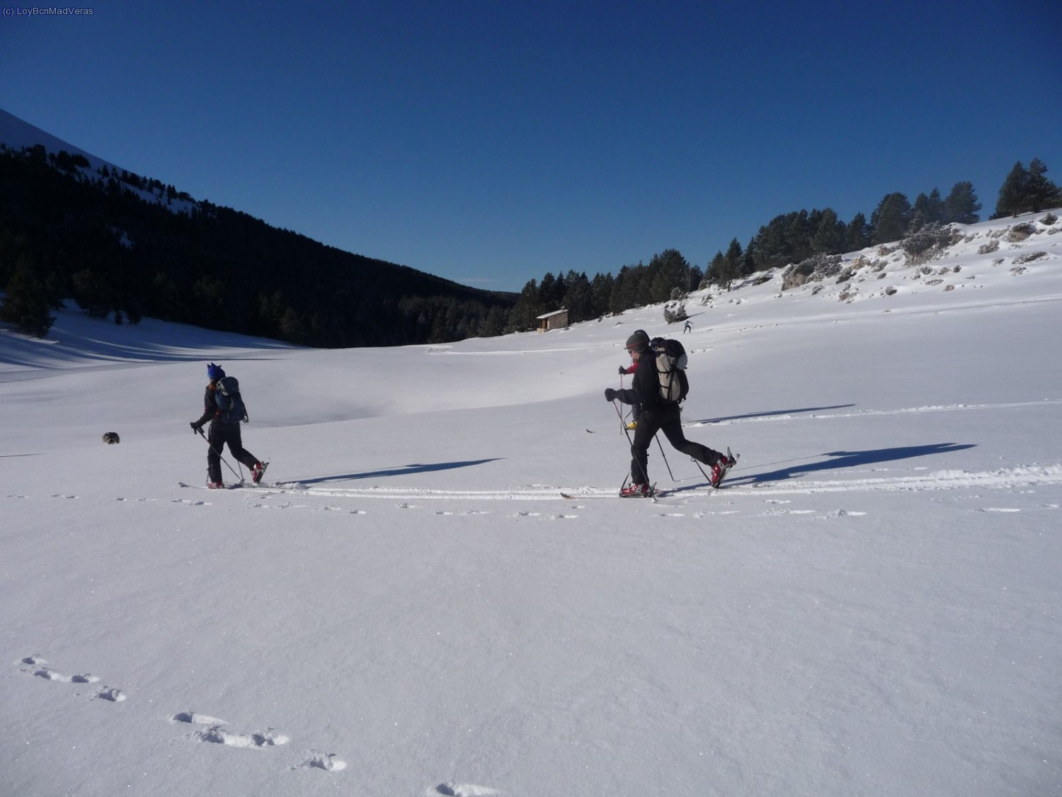 Madveras y Africatwin foqueando