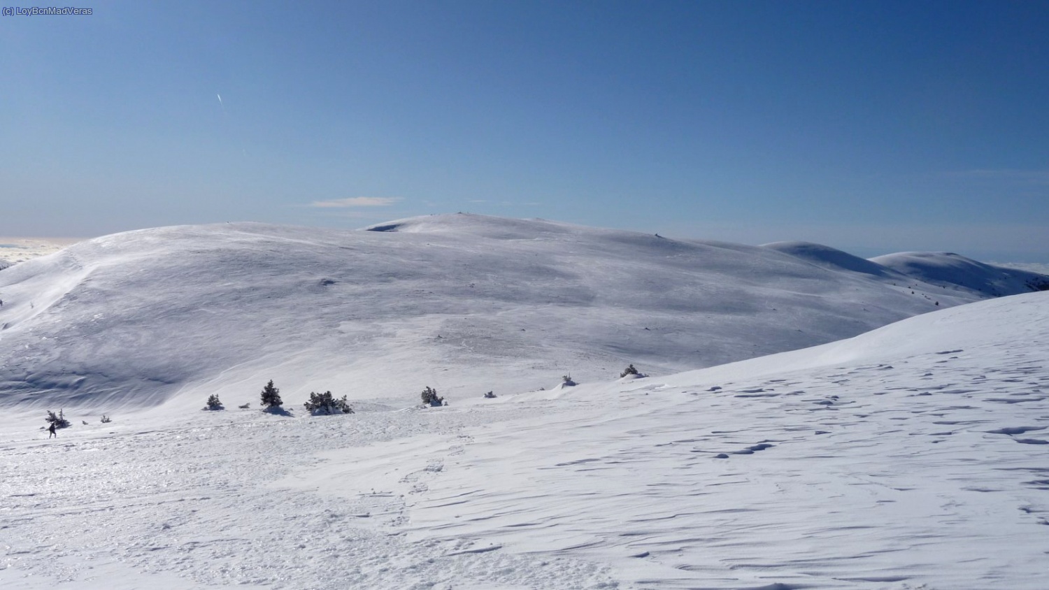 Pedr&oacute; dels Quatre Batlles