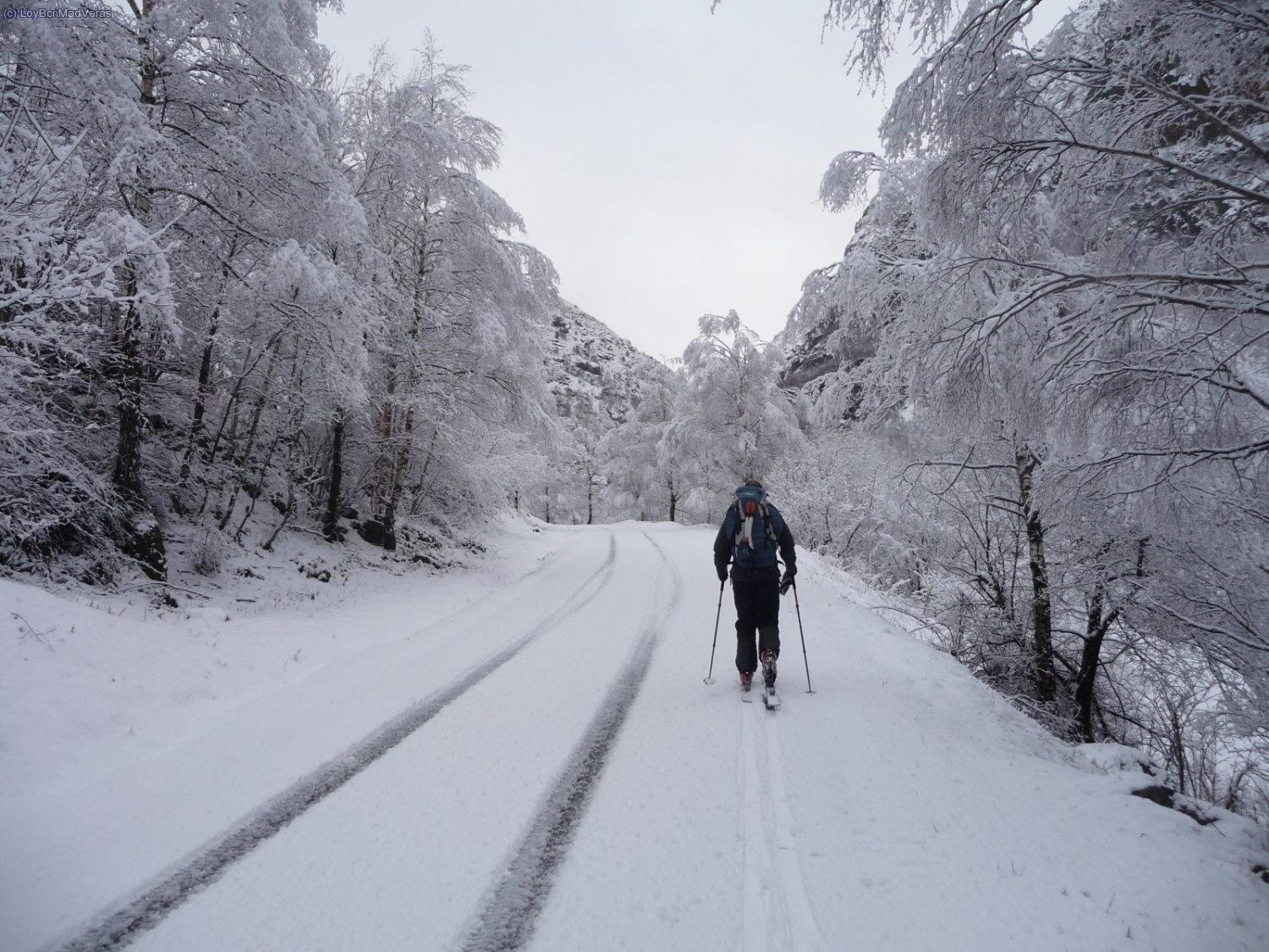 La nevada es reciente de la misma noche, justito para foquear...