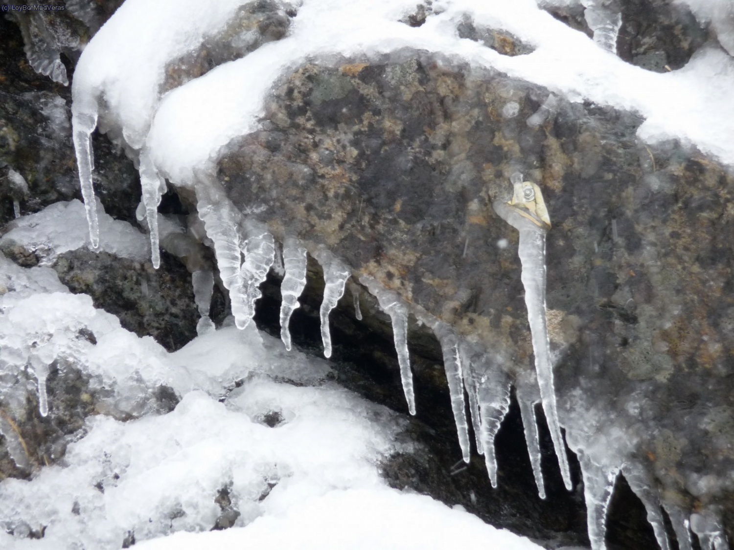 Esto es todo el hielo que hay