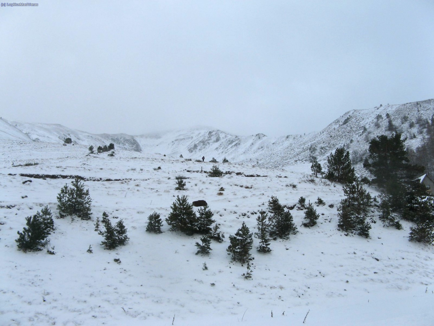 Dave ya empieza subir... si, es ese puntito que se ve
