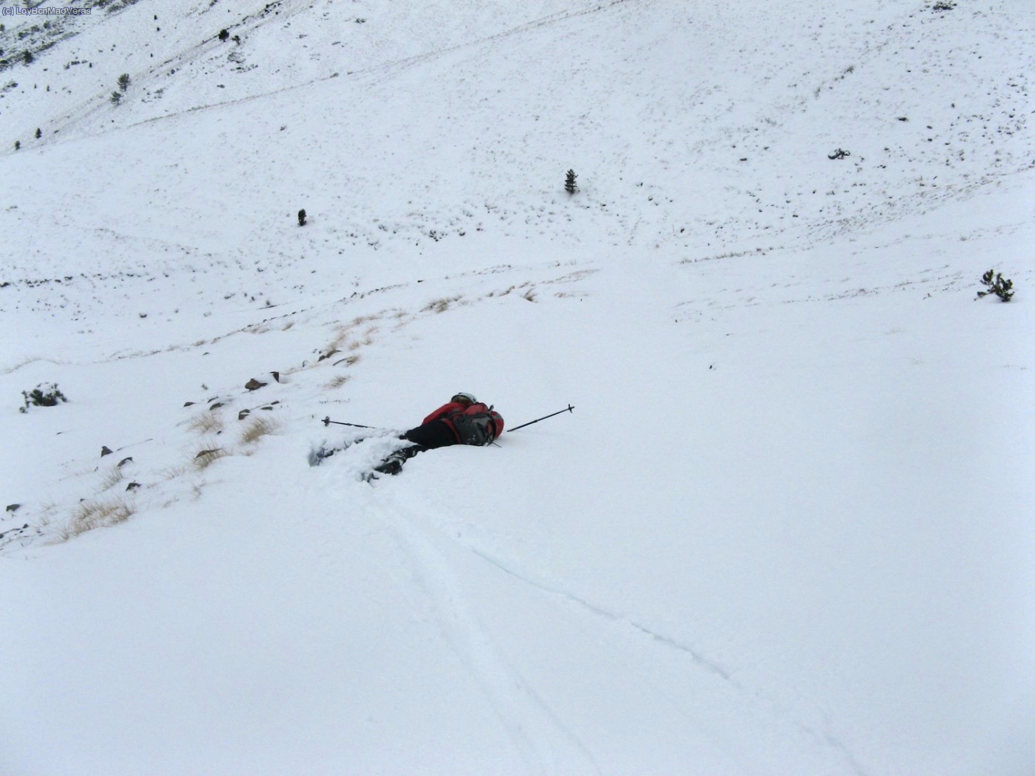 Loybcn por el suelo...