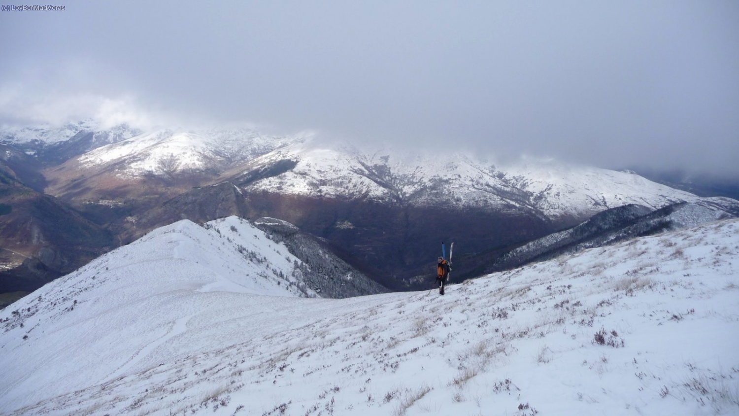 Otia... un conejo.. a no.. que es Madveras JAJAJAJA