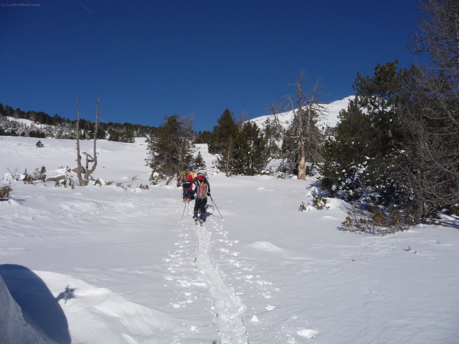 Trazando por la nieve reciente