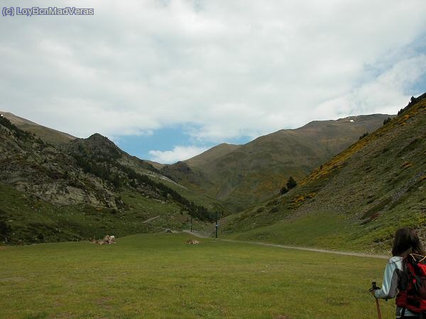 Hacia el coll de Finestrelles