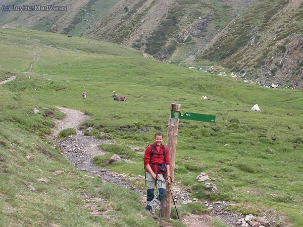 MadVeras en la bifurcaciÃ³n de caminos Noufonts-Noucreus