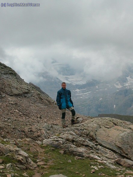 Madveras y al fondo tendrÃ­a que verse el Perdido...