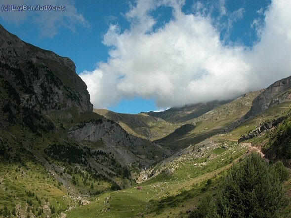 Vista desde las bordas, por lapista de ChisagÃ¼es