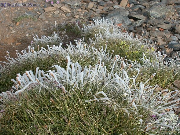 De buena maÃ±ana, hacÃ­a un poquito d frÃ­o...