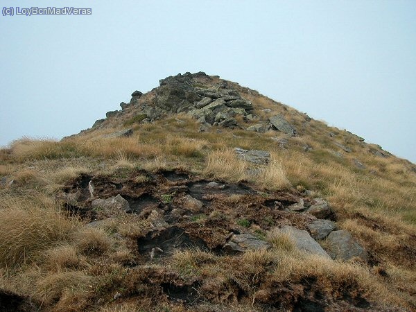 Marca de un relÃ¡mpago, estaba parte de la zona quemada