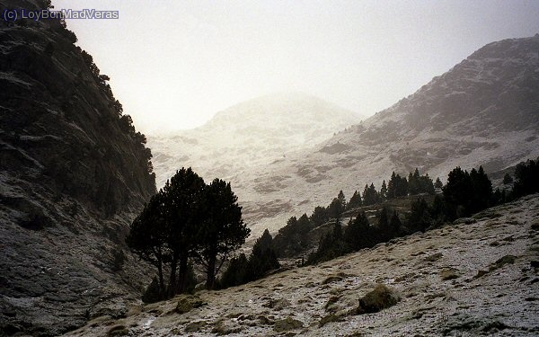 AmaneciÃ³ un poco nevado