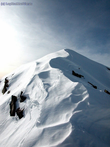 Si quieres disfrutar, solo admira las formas de la naturaleza