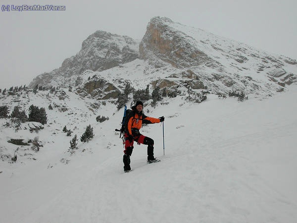 MadVeras aproximando a la via