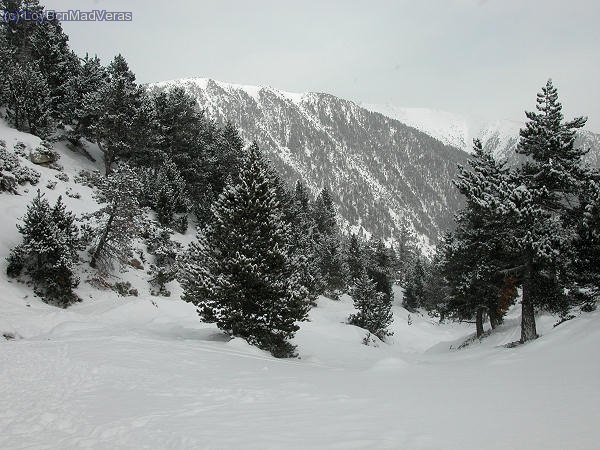 La nevada ha dejado esta preciosa vista