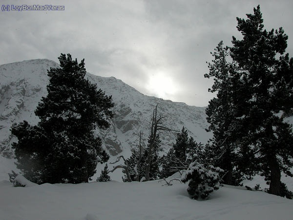 Parece una postal de navidad
