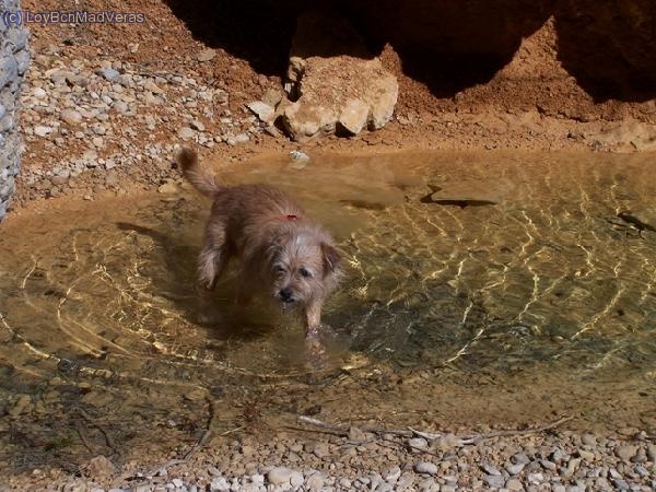 Jaky disfrutando de lo lindo