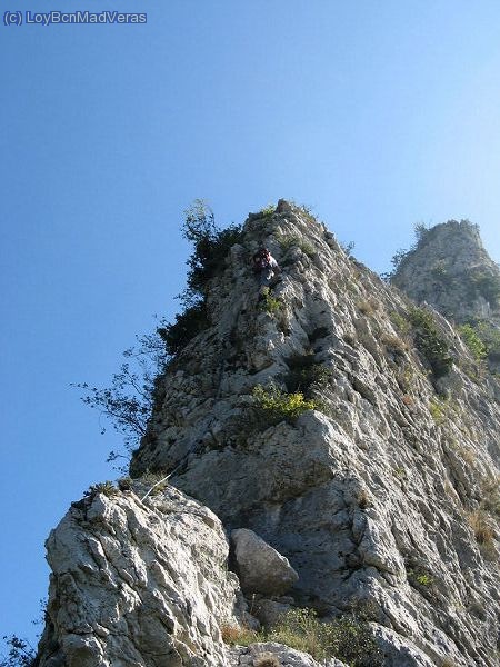 Loybcn abriendo el primer largo