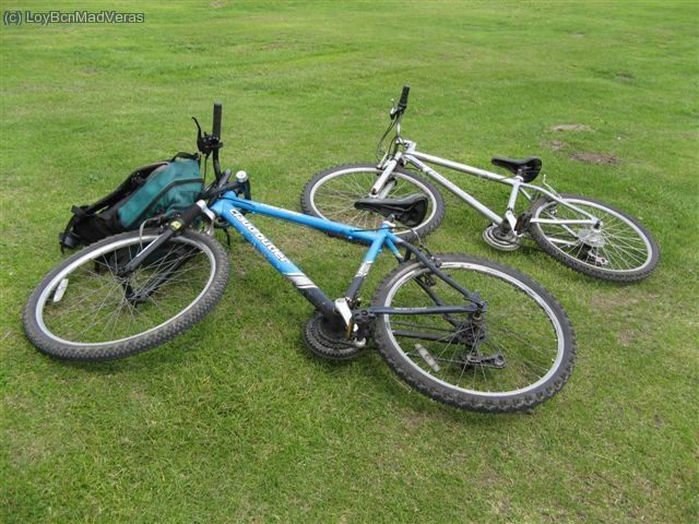 Las bicis que alquilamos