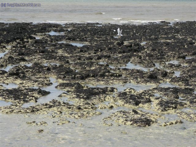 Se retira la marea.. en el video sale como estava con la marea alta.