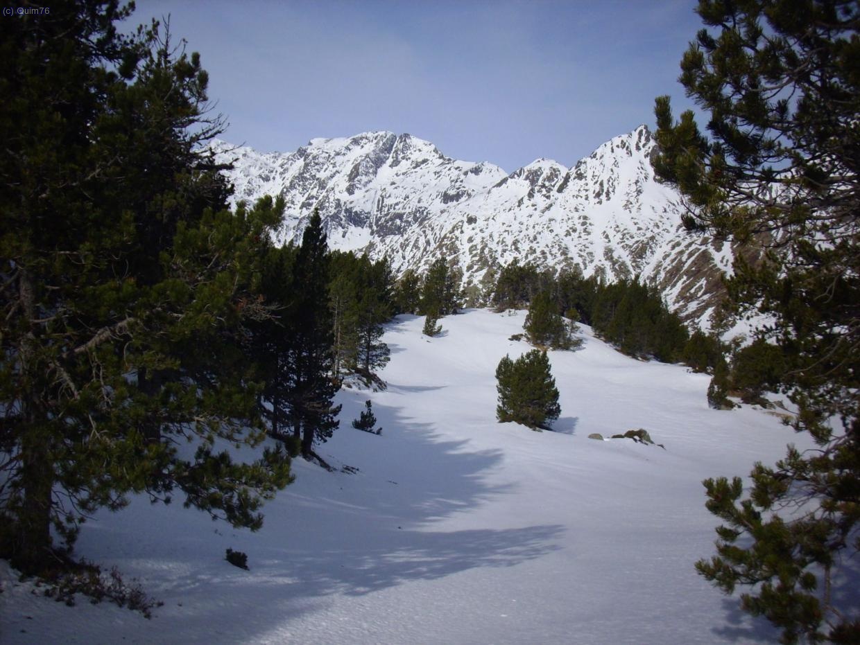 Pel bosc que condueix a l