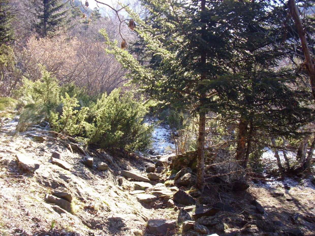 Caminant per baixar a la Vallferera