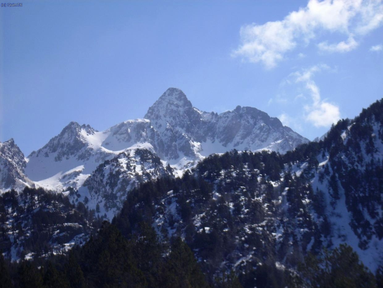 Lavans des del Bosc d