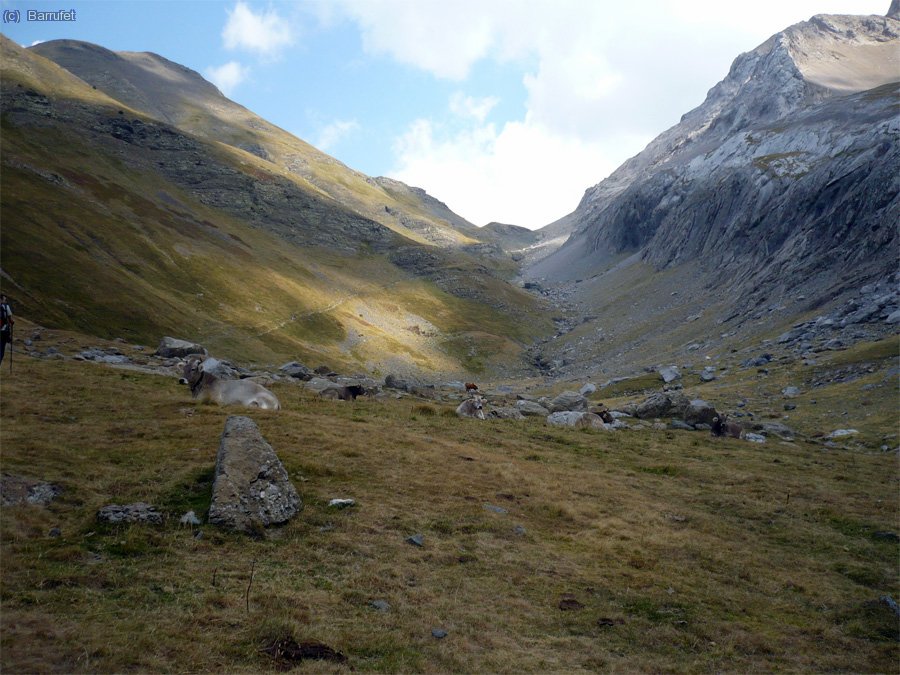 Al fons el Puerto de Bujaruelo.