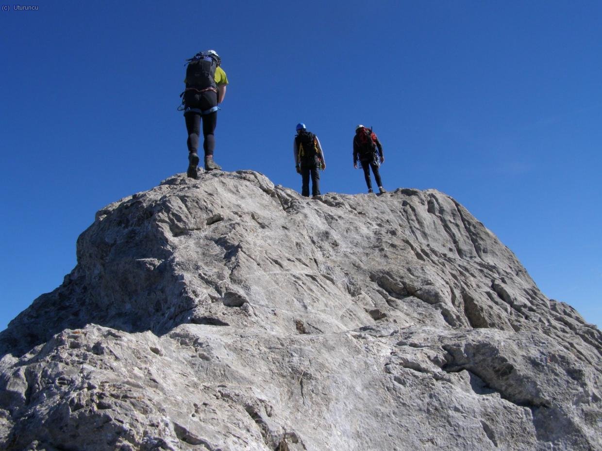 Cresta somital (foto: Jose)