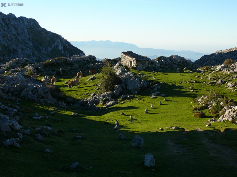 Algo de verde tambi&eacute;n.....