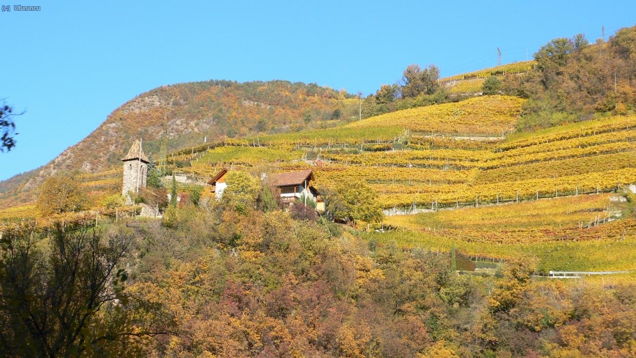 Vi&ntilde;edos en oto&ntilde;o cerca de Bolzano