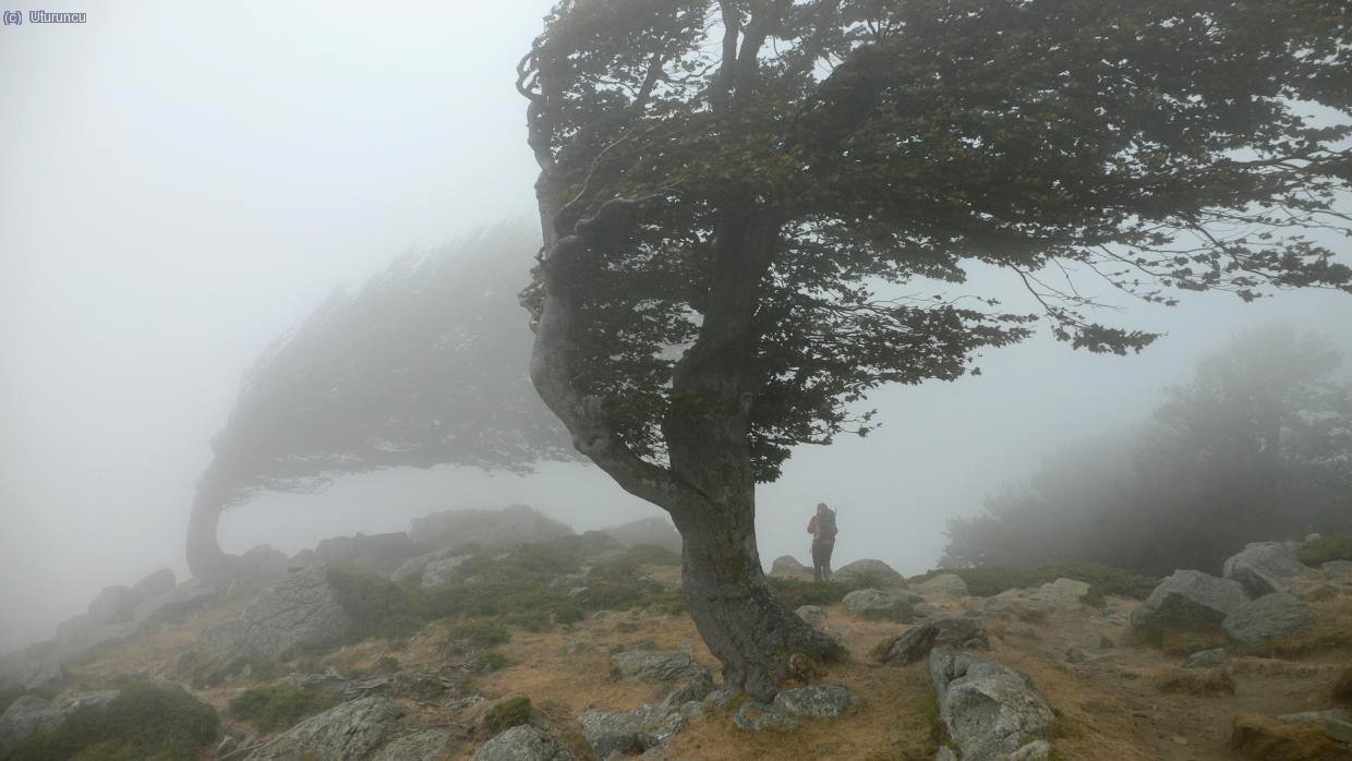 Cerca de la Bocca San Petru, el viento siempre sopla del oeste