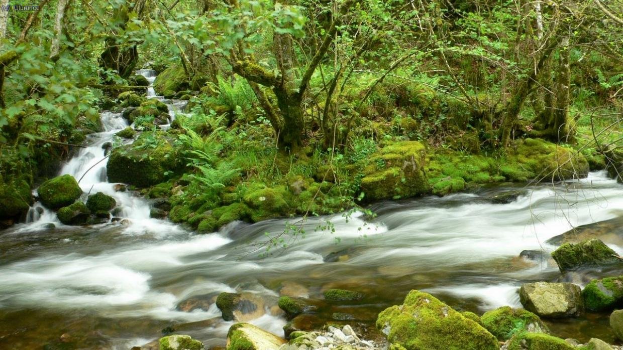 R&iacute;o Muniellos