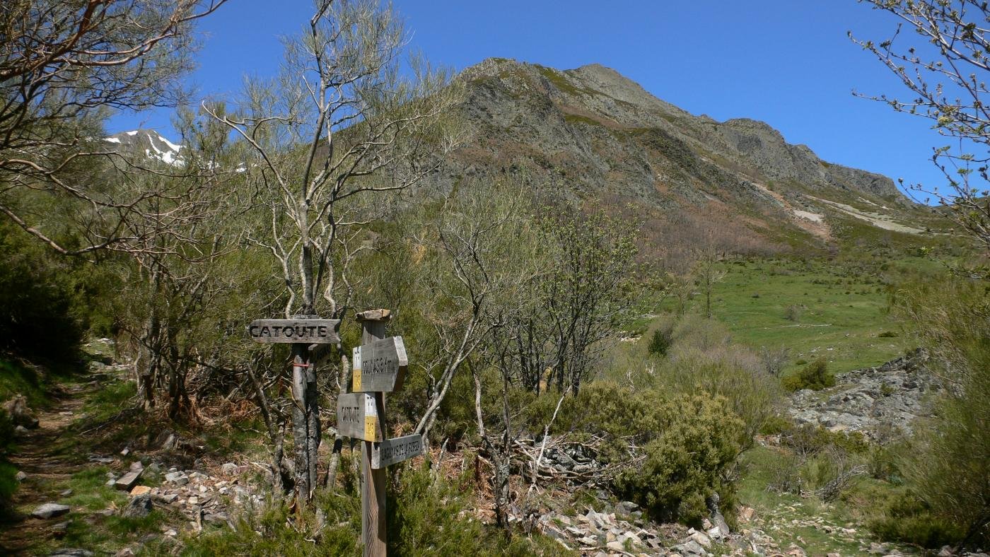 Tras una hora de pateo a la izquierda del r&iacute;o llegamos a la bifurcaci&oacute;n del Campo de Susano