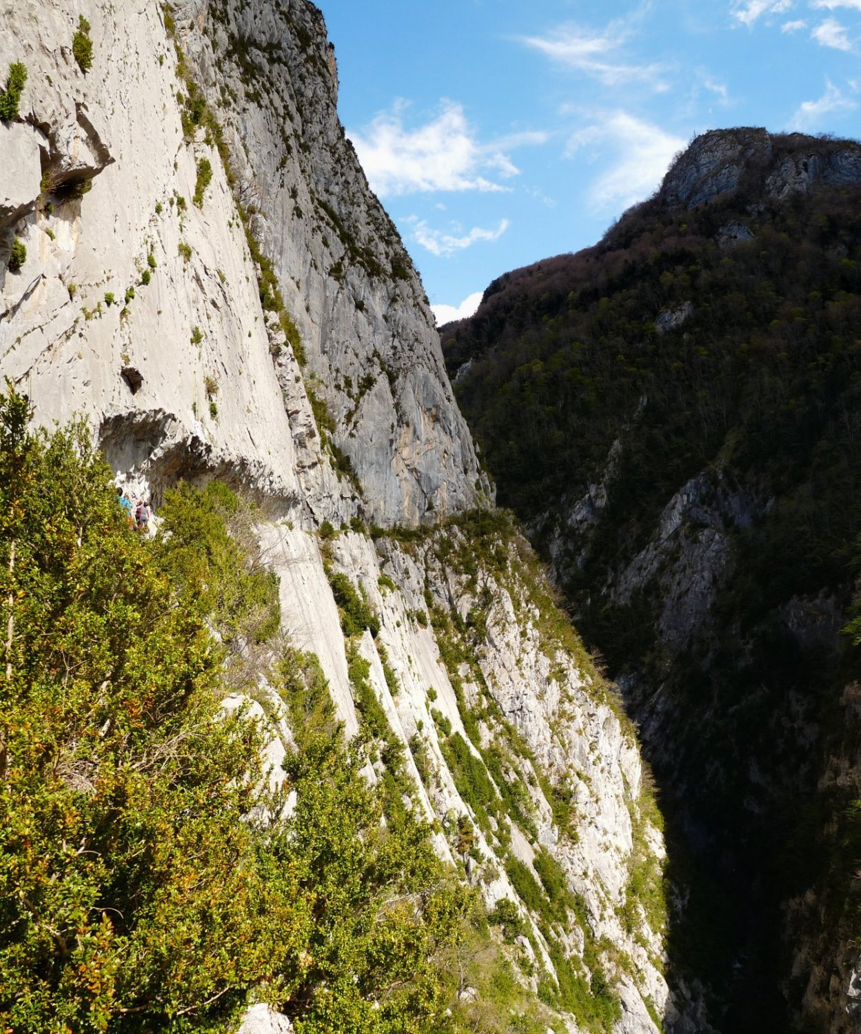 Camino de la madera o Chemin de la Mature