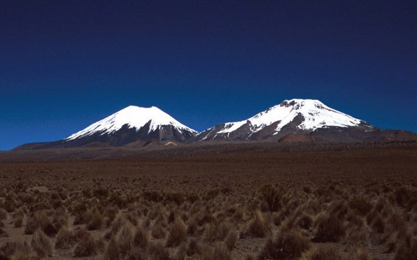 Los Volcanes gemelos desde el P.N. Sajama (Bolivia)