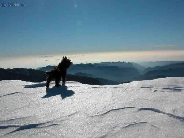 La Brush admirant el paissatge (Crsitina Segura)