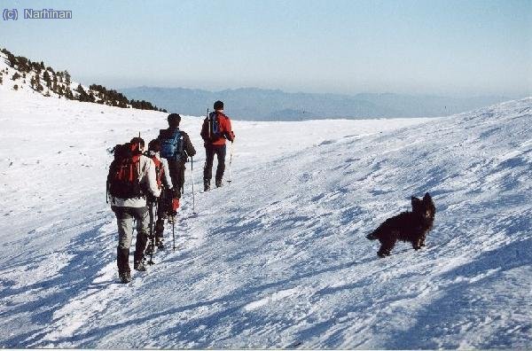 Ja som al coll. La Brush espera la Kris que s´ha entretingut fent fotos (Neus Arisa)