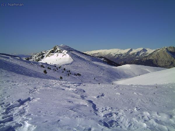Gallina Pelada des del coll.Darrera, el Pedra a la dreta, el Cadí al mig i el Pirineu Oc. a l´esquerra (Fèlix Camprubí)