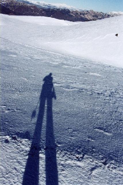 Quatre divertiments (el de Neus Arisa) AUTORRETRAT