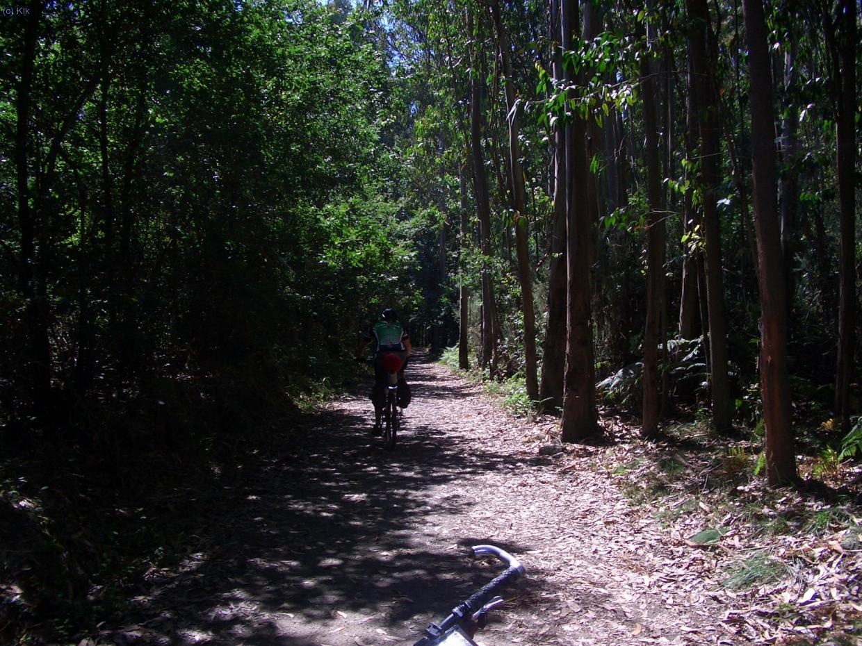ultimos pedales del penultimo dia