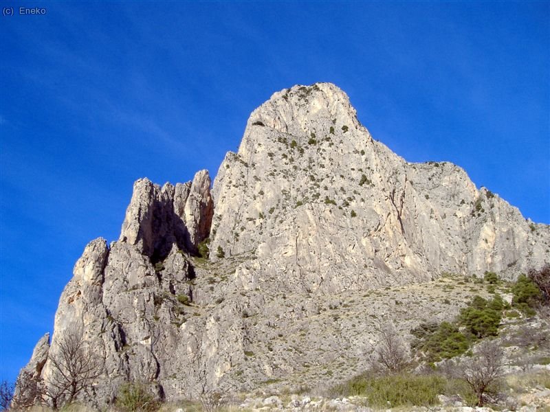 PUIG CAMPANA.