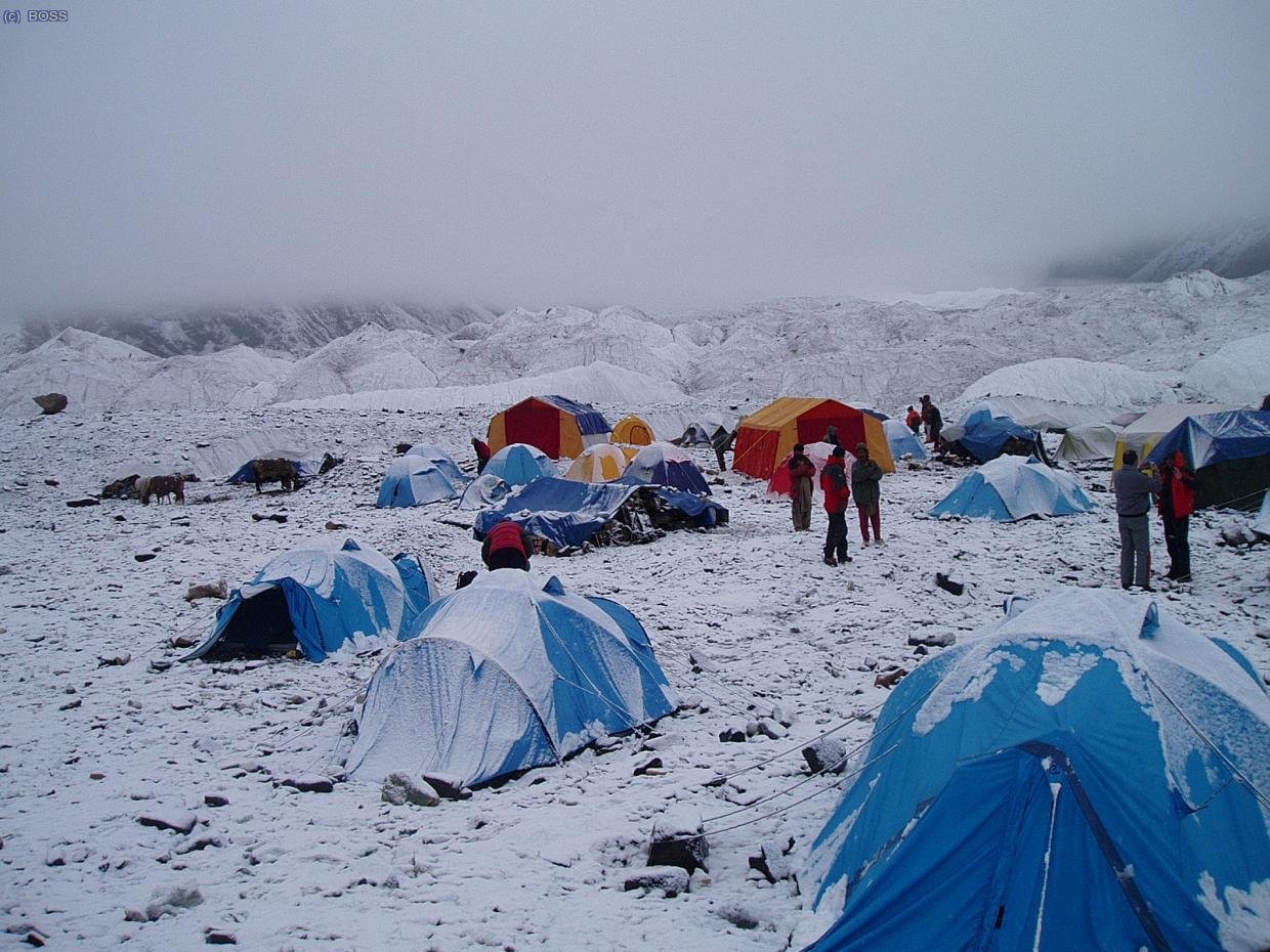 Nevada en Concordia