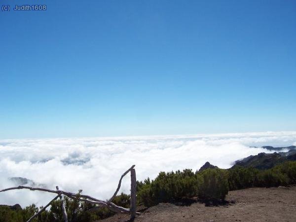Madeira agost 2006