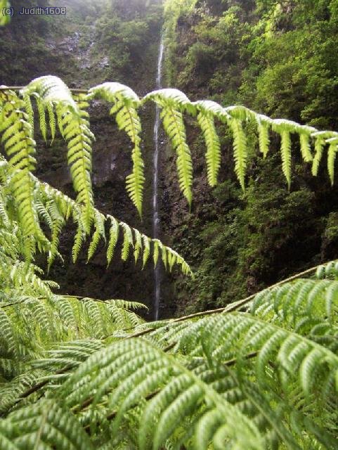 Madeira agost 2006