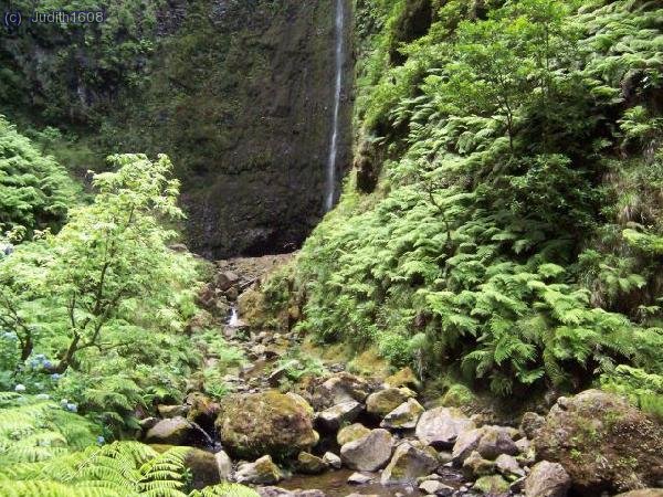 Madeira agost 2006